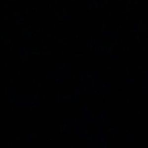 Meet your Posher, Jesse